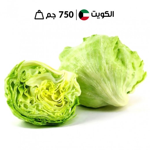 خس آيسبرغ كويتي طازج من مزارع الشامية 750 جم تقريبًا - يتم التوصيل بواسطة توصيل فاست