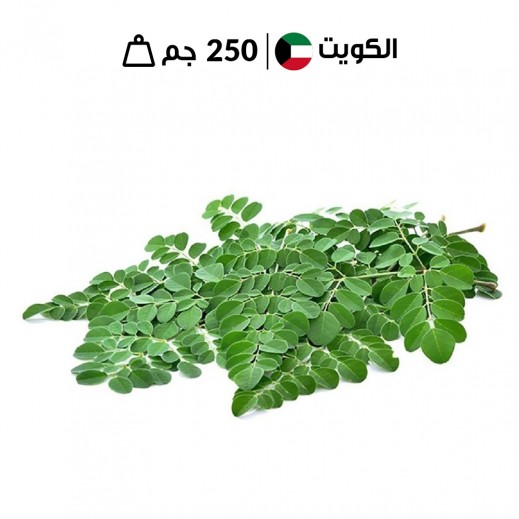 أوراق مورينجا كويتية طازجة 250 جرام