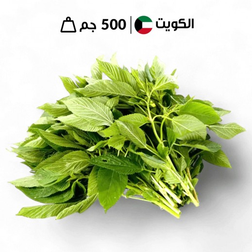 أوراق ملوخية كويتية طازجة 500 جم تقريبًا