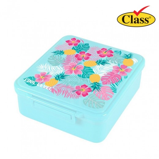 كول ليفل - صندوق طعام صحي مقسم - يتم التوصيل بواسطة توصيل فاست