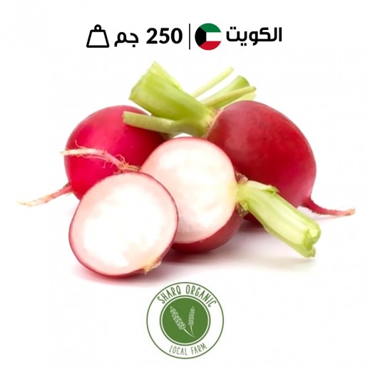 فجل أحمر عضوي كويتي طازج 250 جم