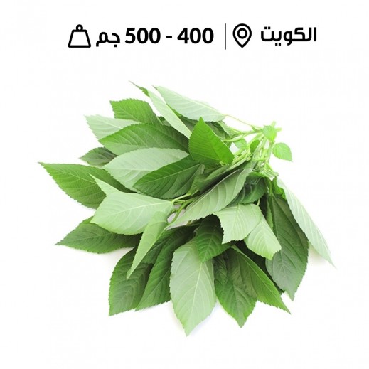 أوراق ملوخية كويتية طازجة 400-500 جم تقريبًا