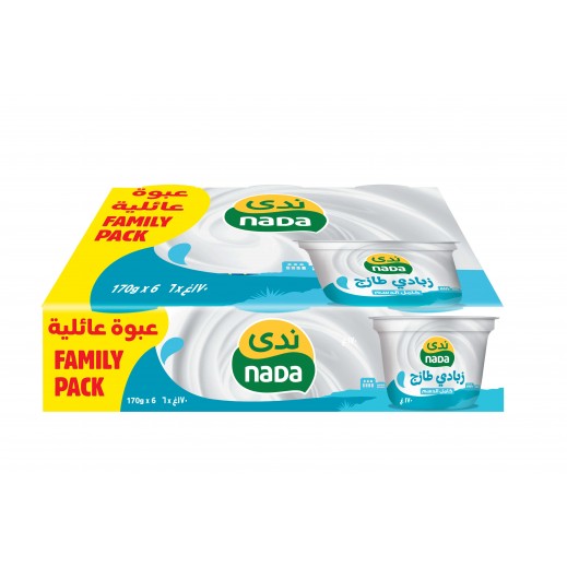 ندى - زبادي كامل الدسم 170 جم (5 + 1 مجانا) - يتم التوصيل بواسطة توصيل فاست