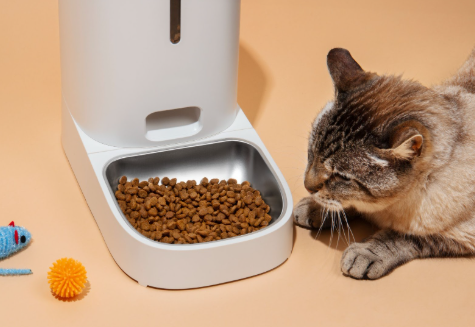 قطة تتناول الأكل الجاف من جهاز إطعام أوتوماتيكي